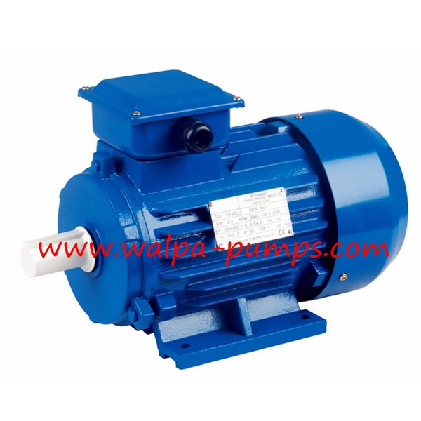 Y2 series Three-phase Asynchronous Motor with Cast Iron Housing
