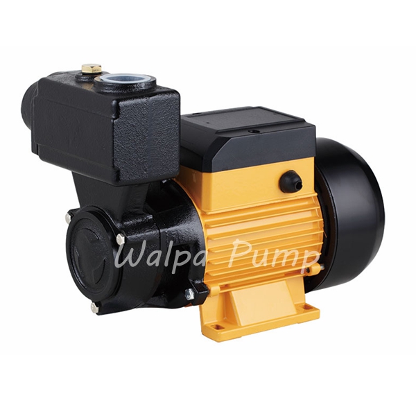 TPS Series Self-priming Pump