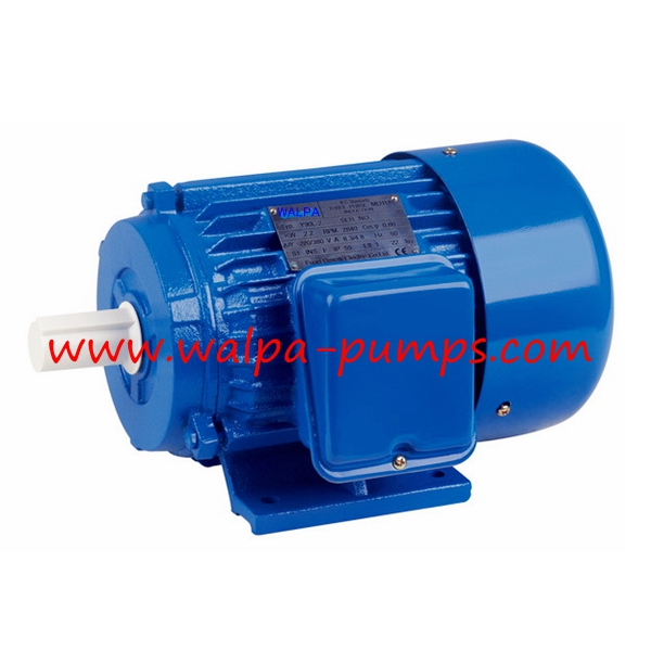 Y series Three-phase Asynchronous Motor with Cast Iron Housing