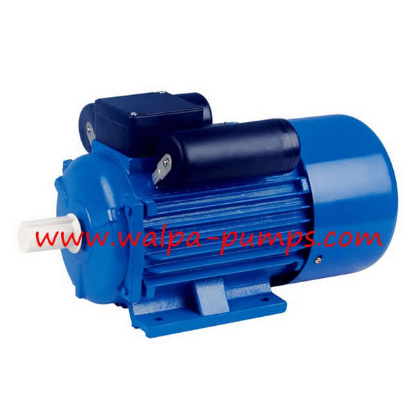 YCL series Single-phase Heavy-duty Capacitor Start Motor with Cast Iron Housing