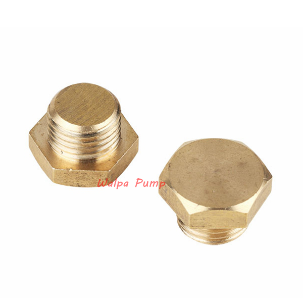 Brass Screw for Water Pump