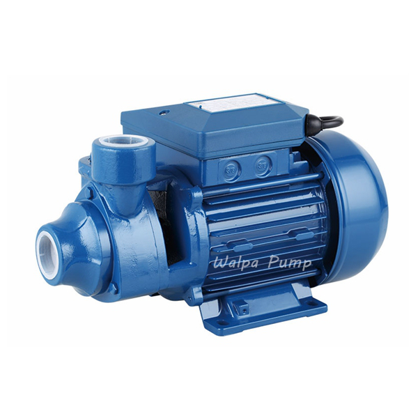 PM Series Italian Quality Vortex Pump with Reasonable Price