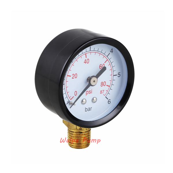 0-6 bar Radial Direction Pressure Gauge for Automatic Water Pump