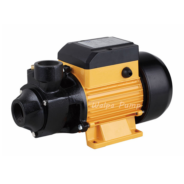 QB60 0.5HP Electric Peripheral Clean Water Pump 