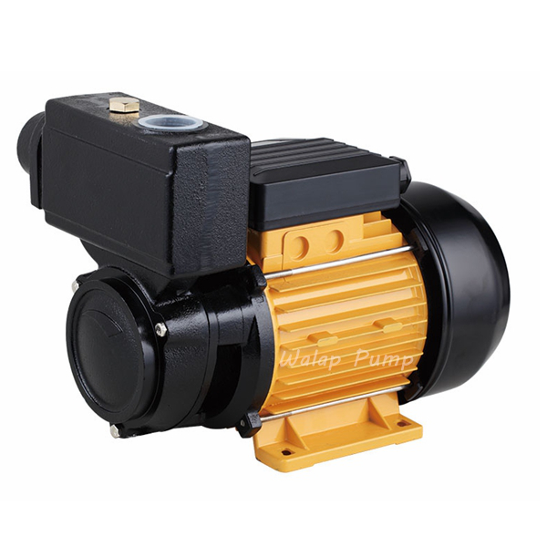 TPS Series Self-priming Pump for Pumping Clean Water